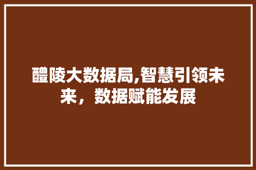 醴陵大数据局,智慧引领未来，数据赋能发展 网站优化
