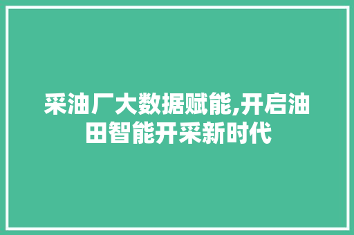 采油厂大数据赋能,开启油田智能开采新时代 小程序开发