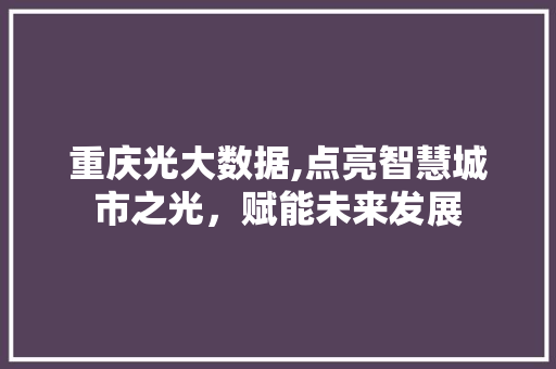 重庆光大数据,点亮智慧城市之光，赋能未来发展