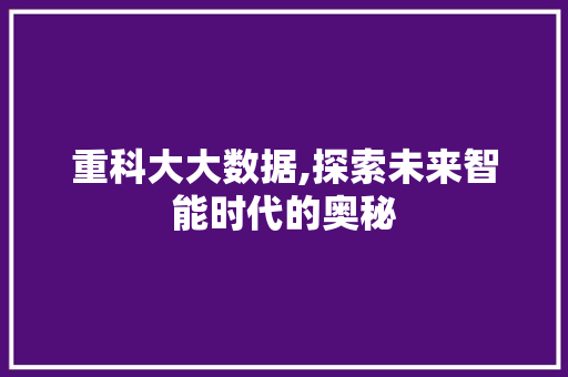重科大大数据,探索未来智能时代的奥秘