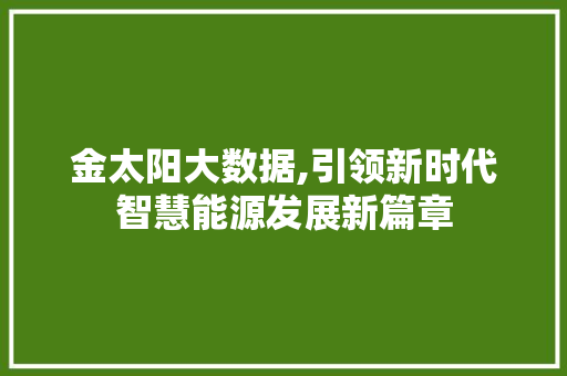 金太阳大数据,引领新时代智慧能源发展新篇章