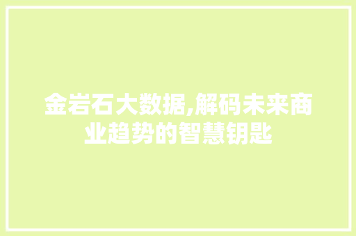 金岩石大数据,解码未来商业趋势的智慧钥匙 百度算法