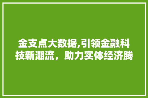 金支点大数据,引领金融科技新潮流，助力实体经济腾飞