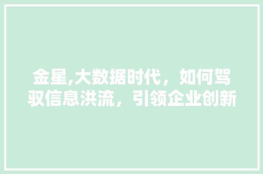 金星,大数据时代，如何驾驭信息洪流，引领企业创新