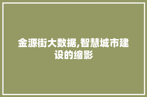 金源街大数据,智慧城市建设的缩影