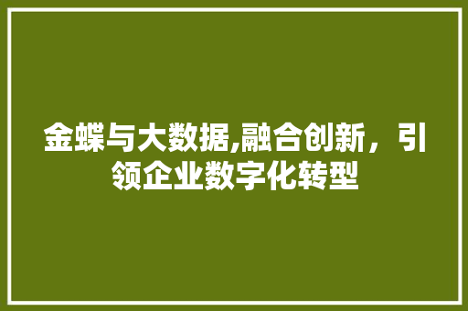 金蝶与大数据,融合创新，引领企业数字化转型