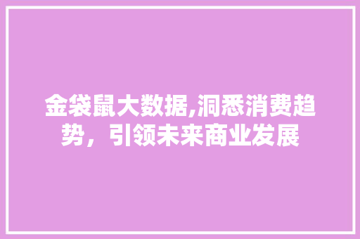 金袋鼠大数据,洞悉消费趋势，引领未来商业发展