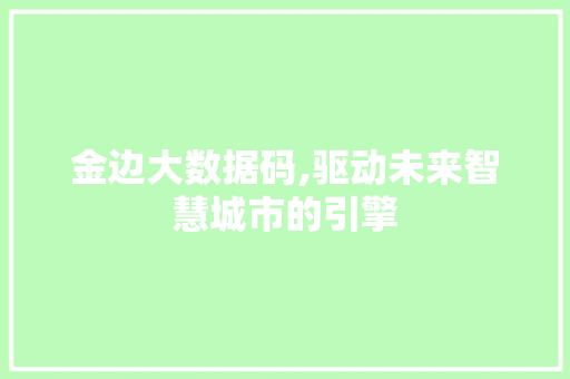 金边大数据码,驱动未来智慧城市的引擎