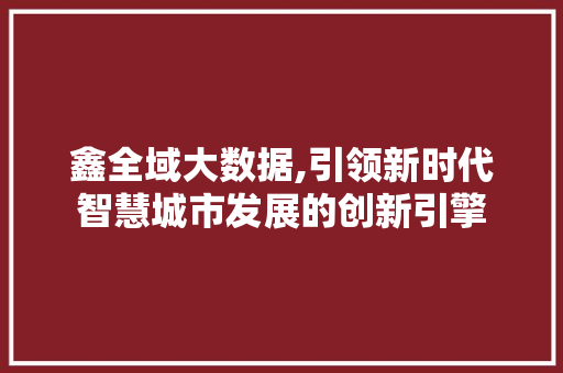 鑫全域大数据,引领新时代智慧城市发展的创新引擎