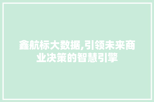 鑫航标大数据,引领未来商业决策的智慧引擎