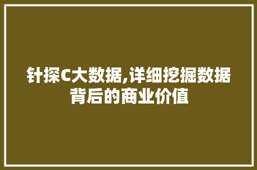针探C大数据,详细挖掘数据背后的商业价值