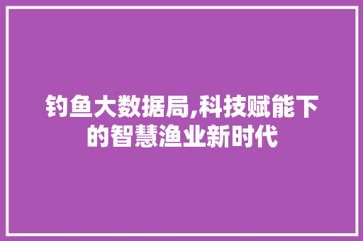 钓鱼大数据局,科技赋能下的智慧渔业新时代