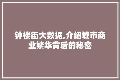 钟楼街大数据,介绍城市商业繁华背后的秘密
