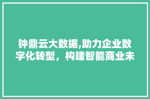 钟鼎云大数据,助力企业数字化转型，构建智能商业未来