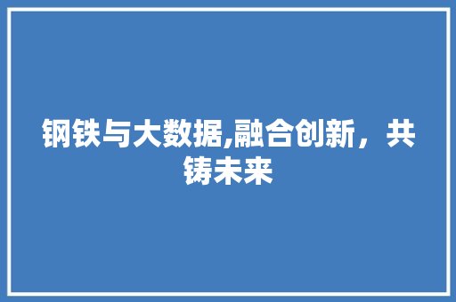 钢铁与大数据,融合创新，共铸未来 AI技术学习