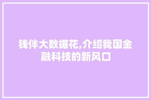 钱伴大数据花,介绍我国金融科技的新风口