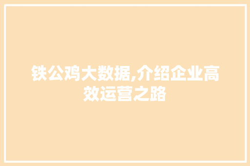 铁公鸡大数据,介绍企业高效运营之路 AI技术学习
