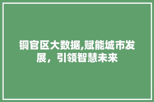 铜官区大数据,赋能城市发展，引领智慧未来