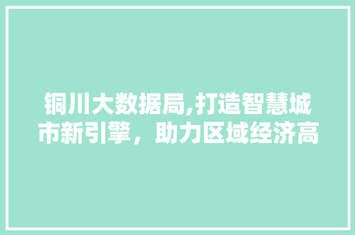 铜川大数据局,打造智慧城市新引擎，助力区域经济高质量发展