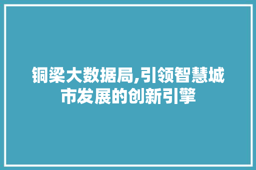 铜梁大数据局,引领智慧城市发展的创新引擎
