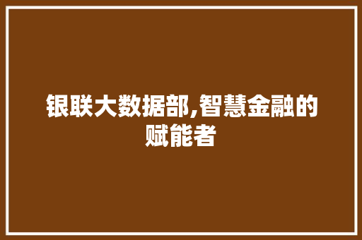 银联大数据部,智慧金融的赋能者