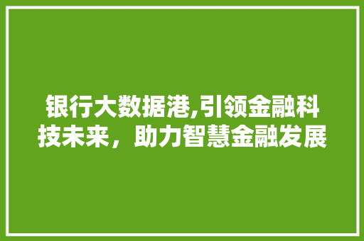 银行大数据港,引领金融科技未来，助力智慧金融发展 网站优化