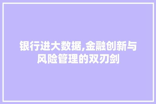 银行进大数据,金融创新与风险管理的双刃剑 英文谷歌算法