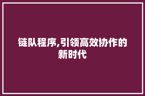 链队程序,引领高效协作的新时代 网站优化