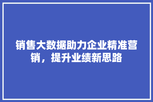 销售大数据助力企业精准营销，提升业绩新思路