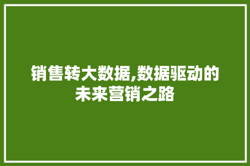销售转大数据,数据驱动的未来营销之路