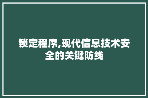 锁定程序,现代信息技术安全的关键防线 网站开发