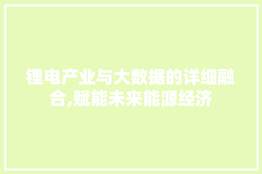 锂电产业与大数据的详细融合,赋能未来能源经济