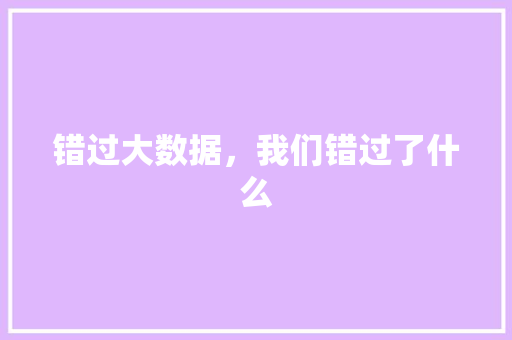 错过大数据，我们错过了什么