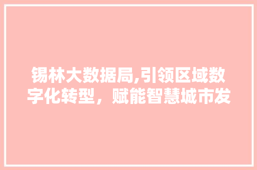 锡林大数据局,引领区域数字化转型，赋能智慧城市发展 网站开发
