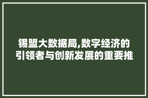 锡盟大数据局,数字经济的引领者与创新发展的重要推手 百度算法