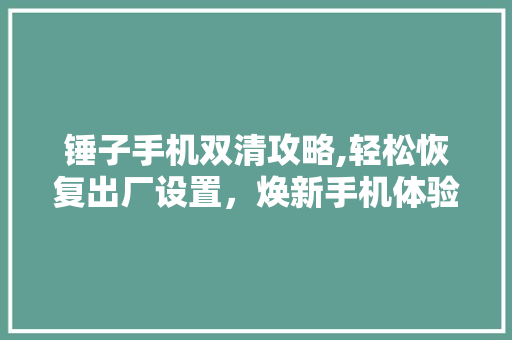锤子手机双清攻略,轻松恢复出厂设置，焕新手机体验