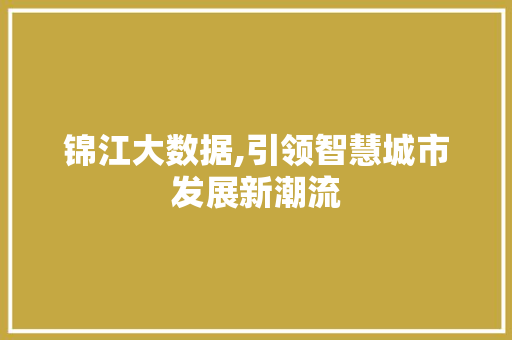 锦江大数据,引领智慧城市发展新潮流