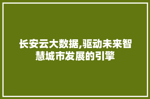 长安云大数据,驱动未来智慧城市发展的引擎