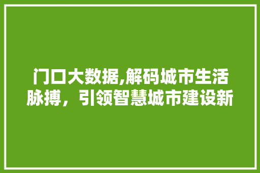 门口大数据,解码城市生活脉搏，引领智慧城市建设新篇章