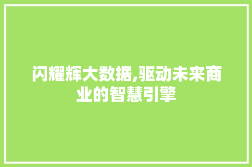 闪耀辉大数据,驱动未来商业的智慧引擎 360搜优化