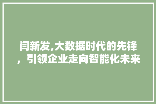 闫新发,大数据时代的先锋，引领企业走向智能化未来
