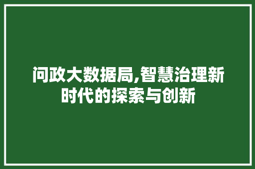 问政大数据局,智慧治理新时代的探索与创新