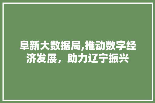 阜新大数据局,推动数字经济发展，助力辽宁振兴 搜狗优化