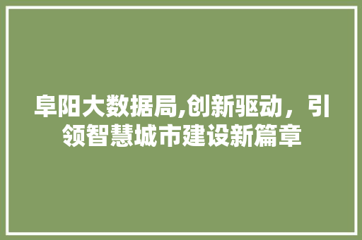 阜阳大数据局,创新驱动，引领智慧城市建设新篇章