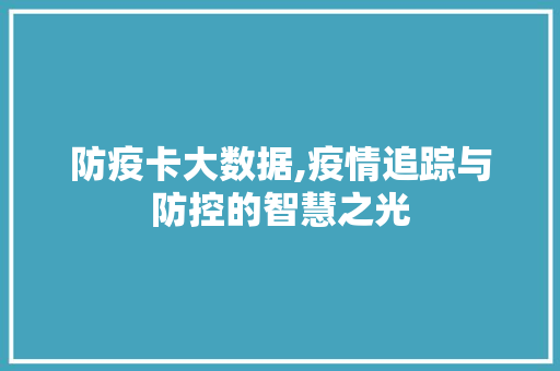 防疫卡大数据,疫情追踪与防控的智慧之光