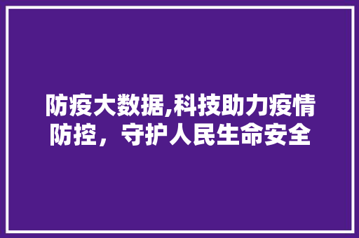 防疫大数据,科技助力疫情防控，守护人民生命安全