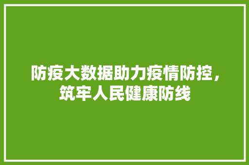 防疫大数据助力疫情防控，筑牢人民健康防线