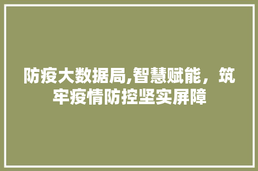 防疫大数据局,智慧赋能，筑牢疫情防控坚实屏障