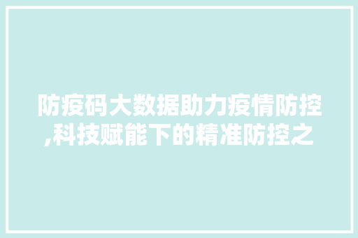 防疫码大数据助力疫情防控,科技赋能下的精准防控之路