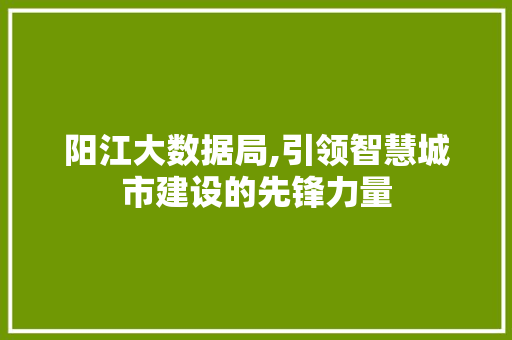 阳江大数据局,引领智慧城市建设的先锋力量